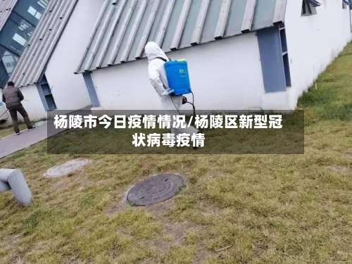 杨陵市今日疫情情况/杨陵区新型冠状病毒疫情-第2张图片