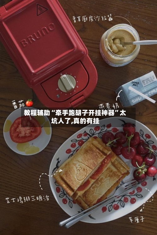 教程辅助“牵手跑胡子开挂神器”太坑人了,真的有挂-第3张图片