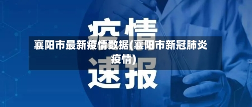 襄阳市最新疫情数据(襄阳市新冠肺炎疫情)-第3张图片