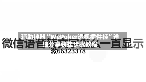 辅助神器“WePoker透视插件挂”详细分享装挂步骤教程-第3张图片