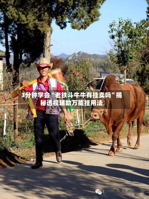 3分钟学会“老铁斗牛牛有挂卖吗”揭秘透视辅助万能挂用法