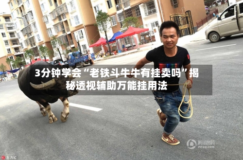 3分钟学会“老铁斗牛牛有挂卖吗”揭秘透视辅助万能挂用法-第2张图片