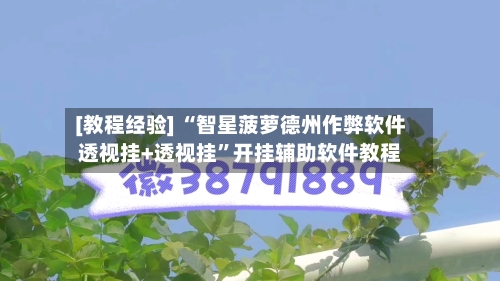 [教程经验] “智星菠萝德州作弊软件透视挂+透视挂”开挂辅助软件教程-第2张图片