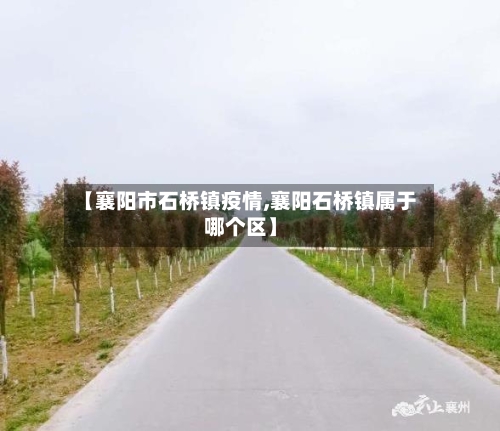 【襄阳市石桥镇疫情,襄阳石桥镇属于哪个区】-第2张图片