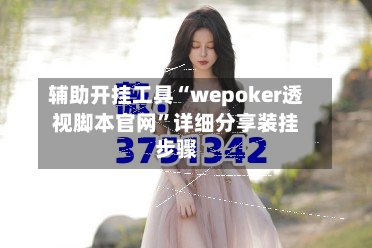 辅助开挂工具“wepoker透视脚本官网”详细分享装挂步骤-第2张图片