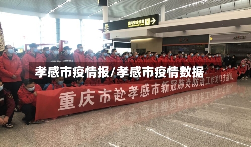 孝感市疫情报/孝感市疫情数据-第3张图片