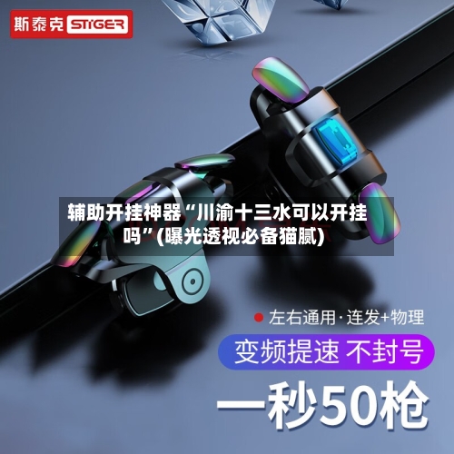 辅助开挂神器“川渝十三水可以开挂吗”(曝光透视必备猫腻)-第2张图片