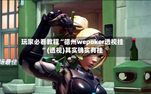 玩家必看教程“德州wepoker透视挂”(透视)其实确实有挂-第2张图片