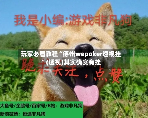 玩家必看教程“德州wepoker透视挂”(透视)其实确实有挂-第3张图片