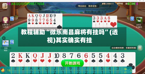 教程辅助“微乐南昌麻将有挂吗”(透视)其实确实有挂-第2张图片