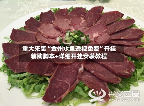 重大来袭“金州水鱼透视免费	”开挂辅助脚本+详细开挂安装教程-第2张图片