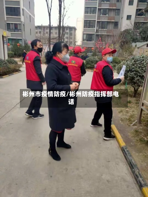 彬州市疫情防疫/彬州防疫指挥部电话