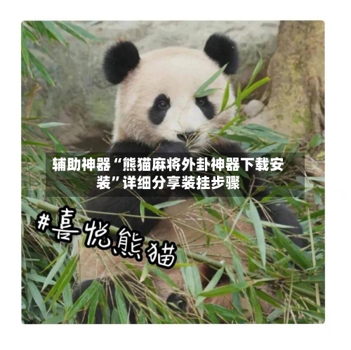 辅助神器“熊猫麻将外卦神器下载安装”详细分享装挂步骤-第3张图片