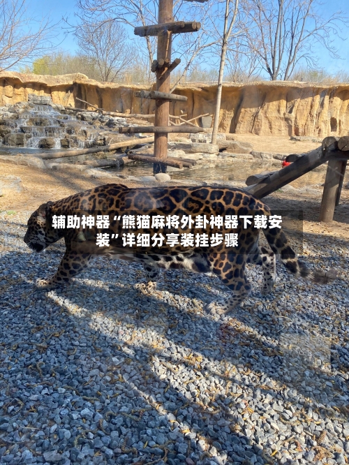 辅助神器“熊猫麻将外卦神器下载安装	”详细分享装挂步骤-第2张图片