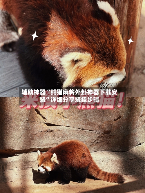 辅助神器“熊猫麻将外卦神器下载安装”详细分享装挂步骤