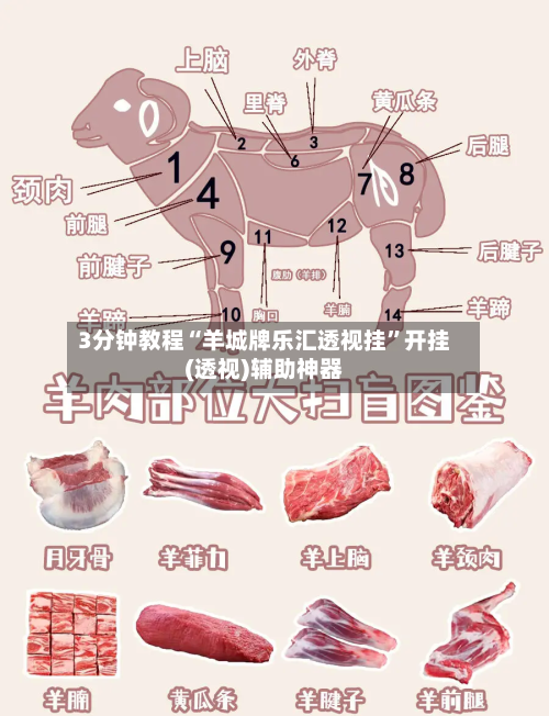 3分钟教程“羊城牌乐汇透视挂”开挂(透视)辅助神器