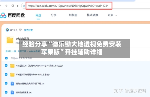 经验分享“微乐锄大地透视免费安装苹果版”开挂辅助详细-第2张图片