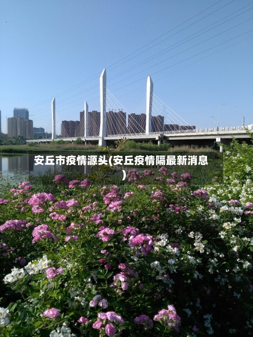 安丘市疫情源头(安丘疫情隔最新消息)-第2张图片