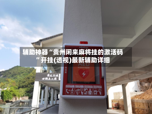 辅助神器“贵州闲来麻将挂的激活码”开挂(透视)最新辅助详细-第2张图片