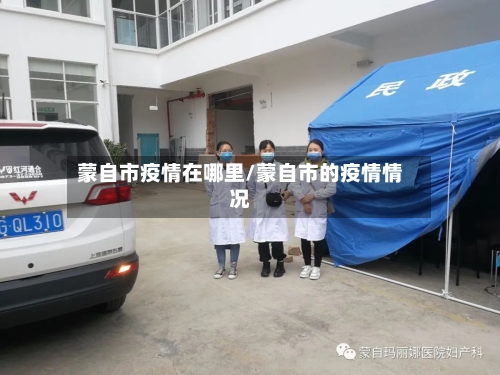 蒙自市疫情在哪里/蒙自市的疫情情况-第2张图片