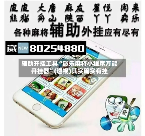 辅助开挂工具“微乐麻将小程序万能开挂器	”(透视)其实确实有挂-第2张图片