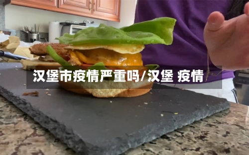 汉堡市疫情严重吗/汉堡 疫情-第2张图片