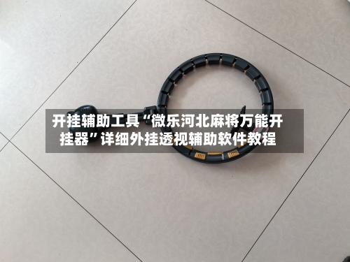 开挂辅助工具“微乐河北麻将万能开挂器”详细外挂透视辅助软件教程-第2张图片