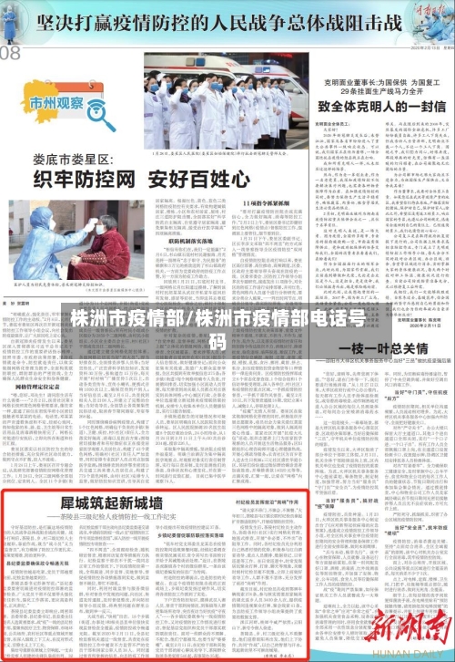 株洲市疫情部/株洲市疫情部电话号码