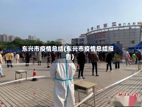 东兴市疫情总结(东兴市疫情总结报告)