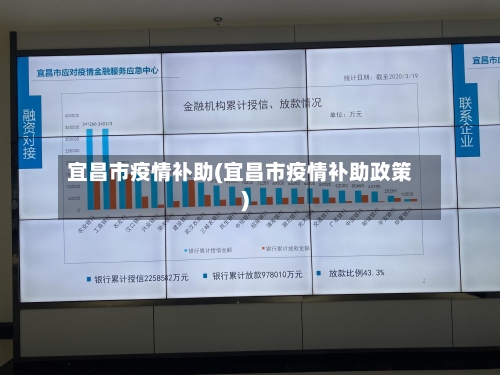 宜昌市疫情补助(宜昌市疫情补助政策)