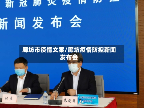 廊坊市疫情文案/廊坊疫情防控新闻发布会-第2张图片