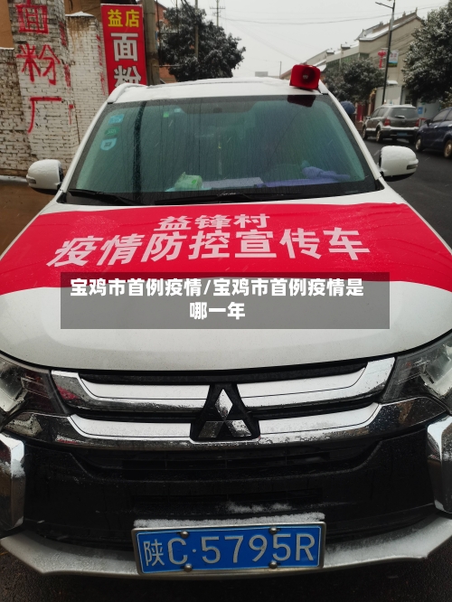 宝鸡市首例疫情/宝鸡市首例疫情是哪一年