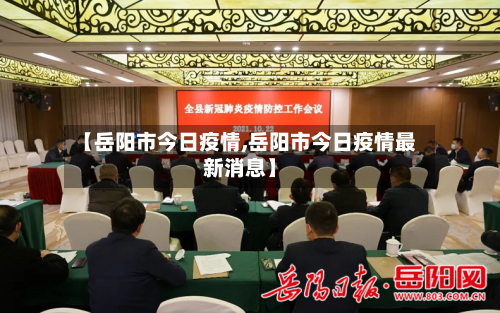 【岳阳市今日疫情,岳阳市今日疫情最新消息】-第3张图片