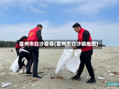 雷州市白沙疫情(雷州市白沙镇地图)