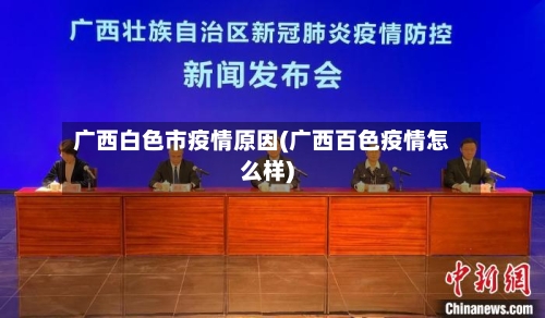 广西白色市疫情原因(广西百色疫情怎么样)-第2张图片