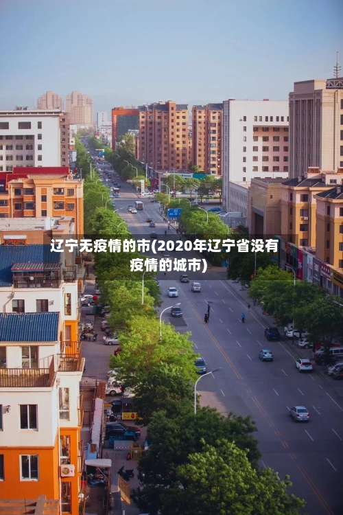 辽宁无疫情的市(2020年辽宁省没有疫情的城市)-第3张图片