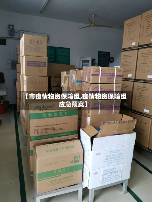 【市疫情物资保障组,疫情物资保障组应急预案】-第3张图片