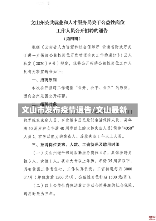文山市发布疫情通告/文山最新