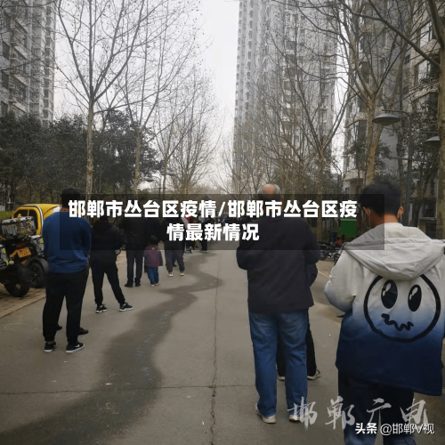 邯郸市丛台区疫情/邯郸市丛台区疫情最新情况