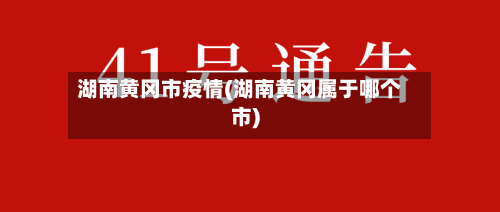 湖南黄冈市疫情(湖南黄冈属于哪个市)-第2张图片