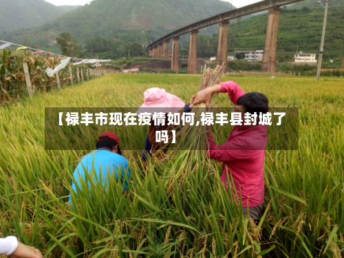 【禄丰市现在疫情如何,禄丰县封城了吗】-第2张图片