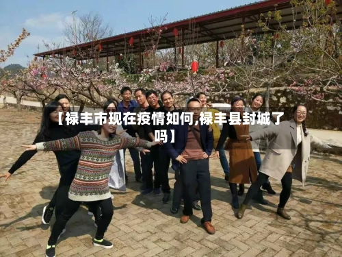 【禄丰市现在疫情如何,禄丰县封城了吗】