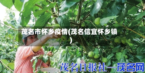 茂名市怀乡疫情(茂名信宜怀乡镇)-第2张图片