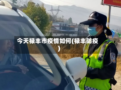 今天禄丰市疫情如何(禄丰防疫)