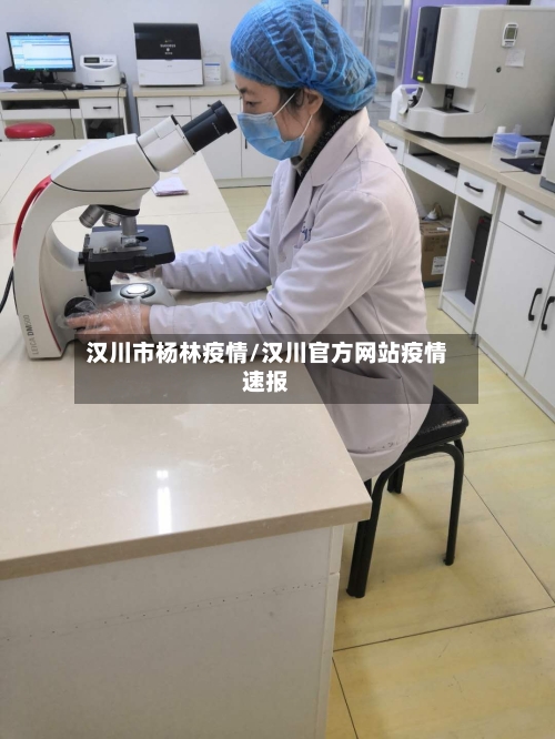 汉川市杨林疫情/汉川官方网站疫情速报-第2张图片