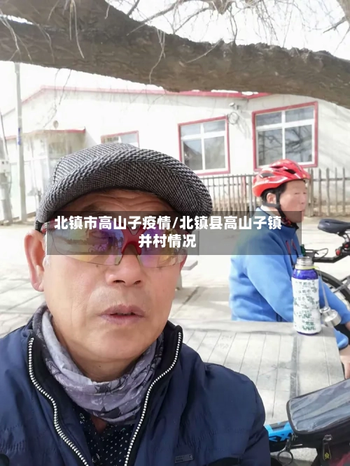 北镇市高山子疫情/北镇县高山子镇并村情况-第3张图片