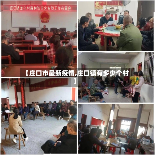 【庄口市最新疫情,庄口镇有多少个村】