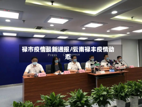 禄市疫情最新通报/云南禄丰疫情动态-第2张图片