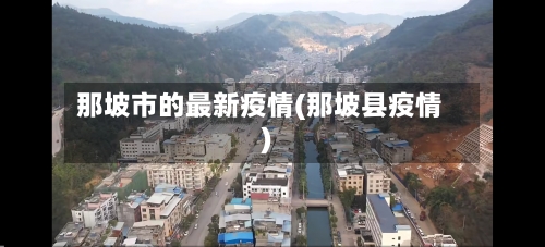 那坡市的最新疫情(那坡县疫情)-第2张图片