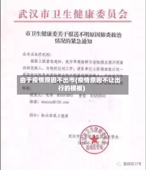 由于疫情原因不出市(疫情原因不让出行的模板)-第3张图片